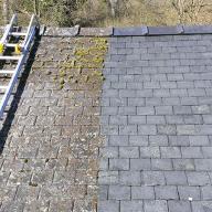 roof 10