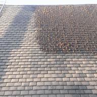 roof 9